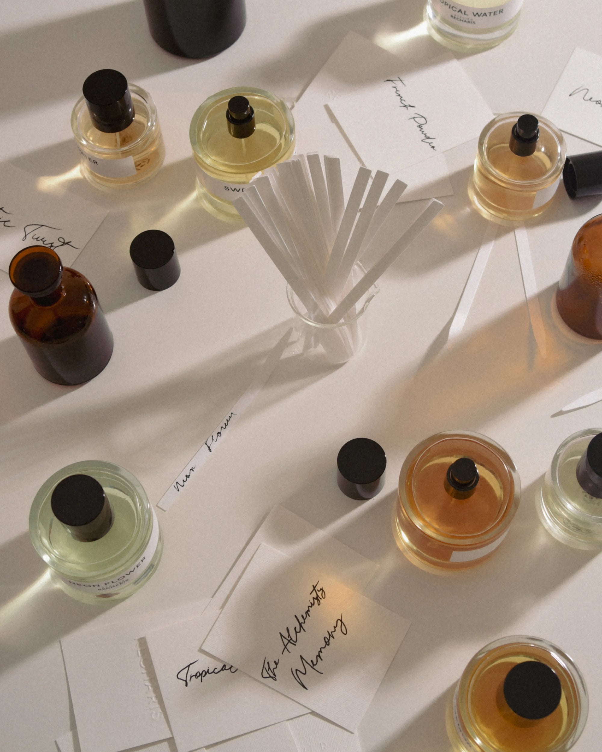 A world of emotions, memories, and moments captured through scent